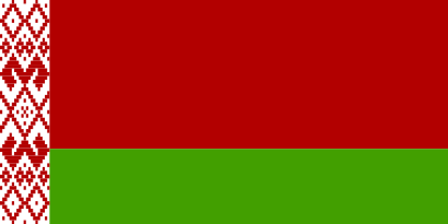Download free flag belarus country icon